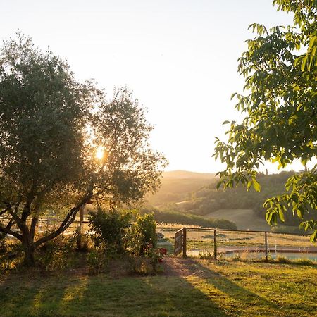 Agriturismo Le Tre Pietre - Podere Nel Chianti Quercegrossa Luaran gambar