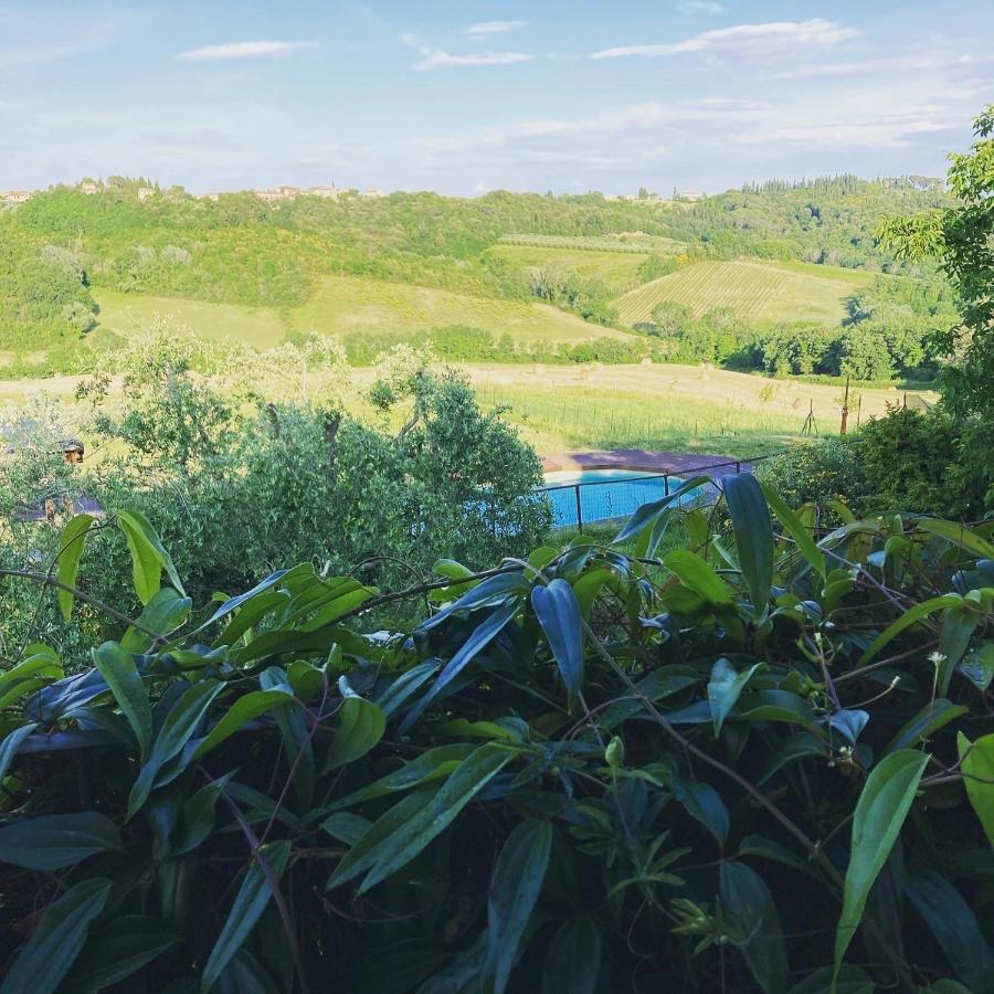 Agriturismo Le Tre Pietre - Podere Nel Chianti Quercegrossa Luaran gambar