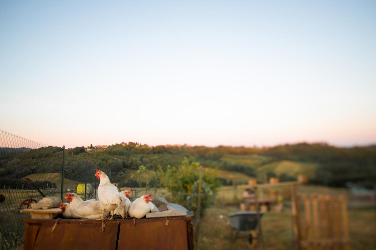 Agriturismo Le Tre Pietre - Podere Nel Chianti Quercegrossa Luaran gambar