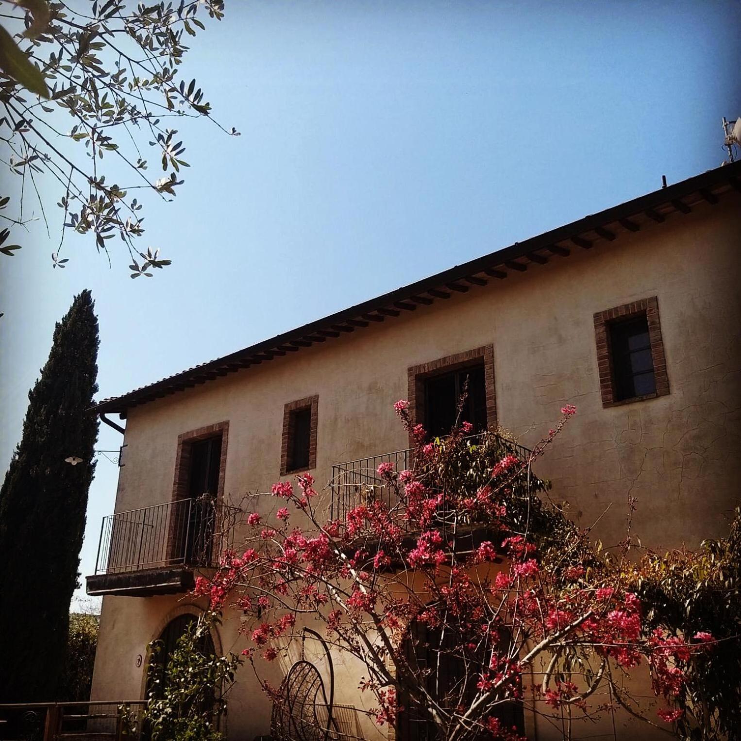 Agriturismo Le Tre Pietre - Podere Nel Chianti Quercegrossa Luaran gambar