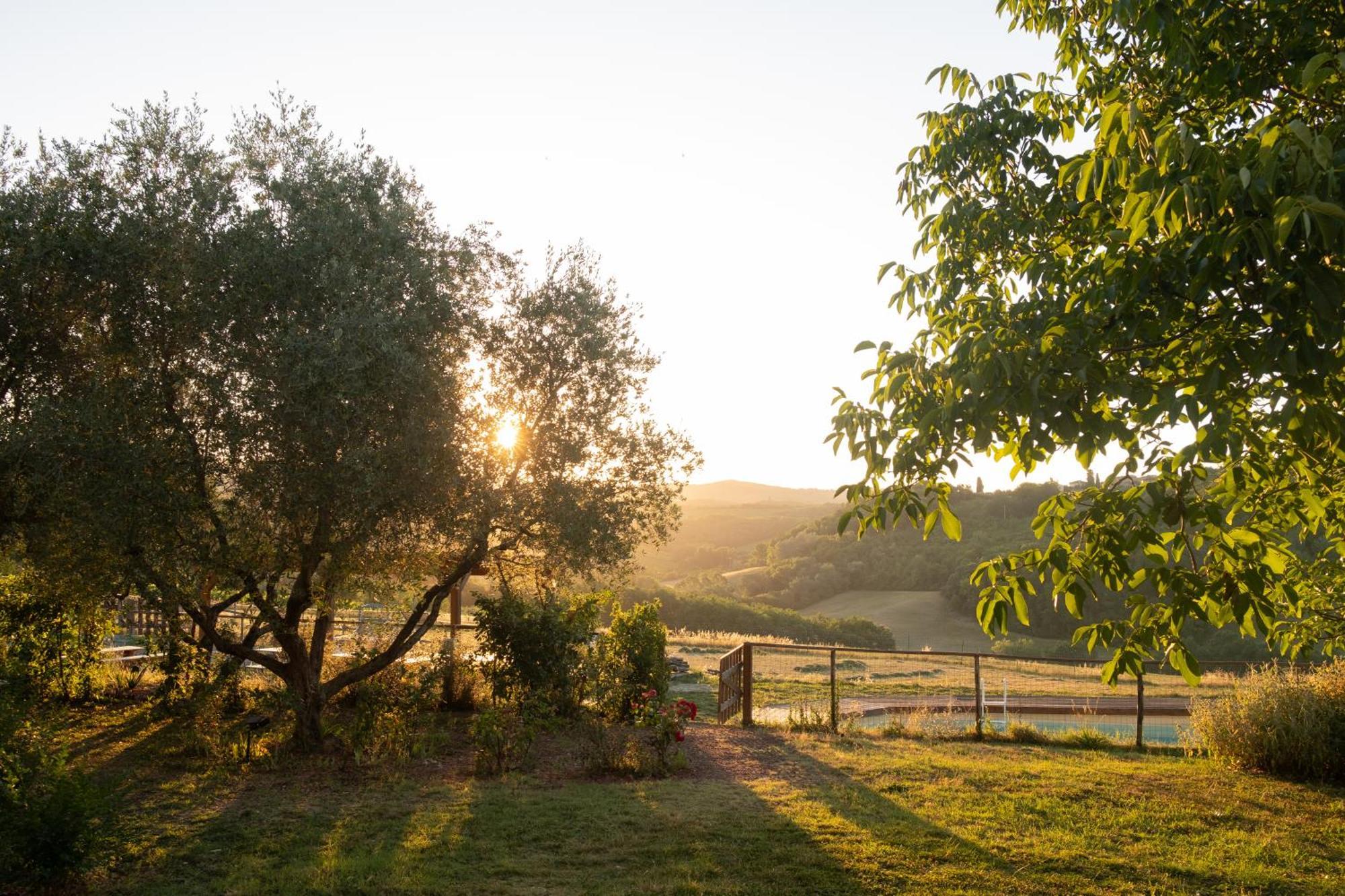 Agriturismo Le Tre Pietre - Podere Nel Chianti Quercegrossa Luaran gambar