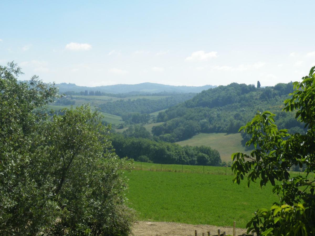 Agriturismo Le Tre Pietre - Podere Nel Chianti Quercegrossa Luaran gambar