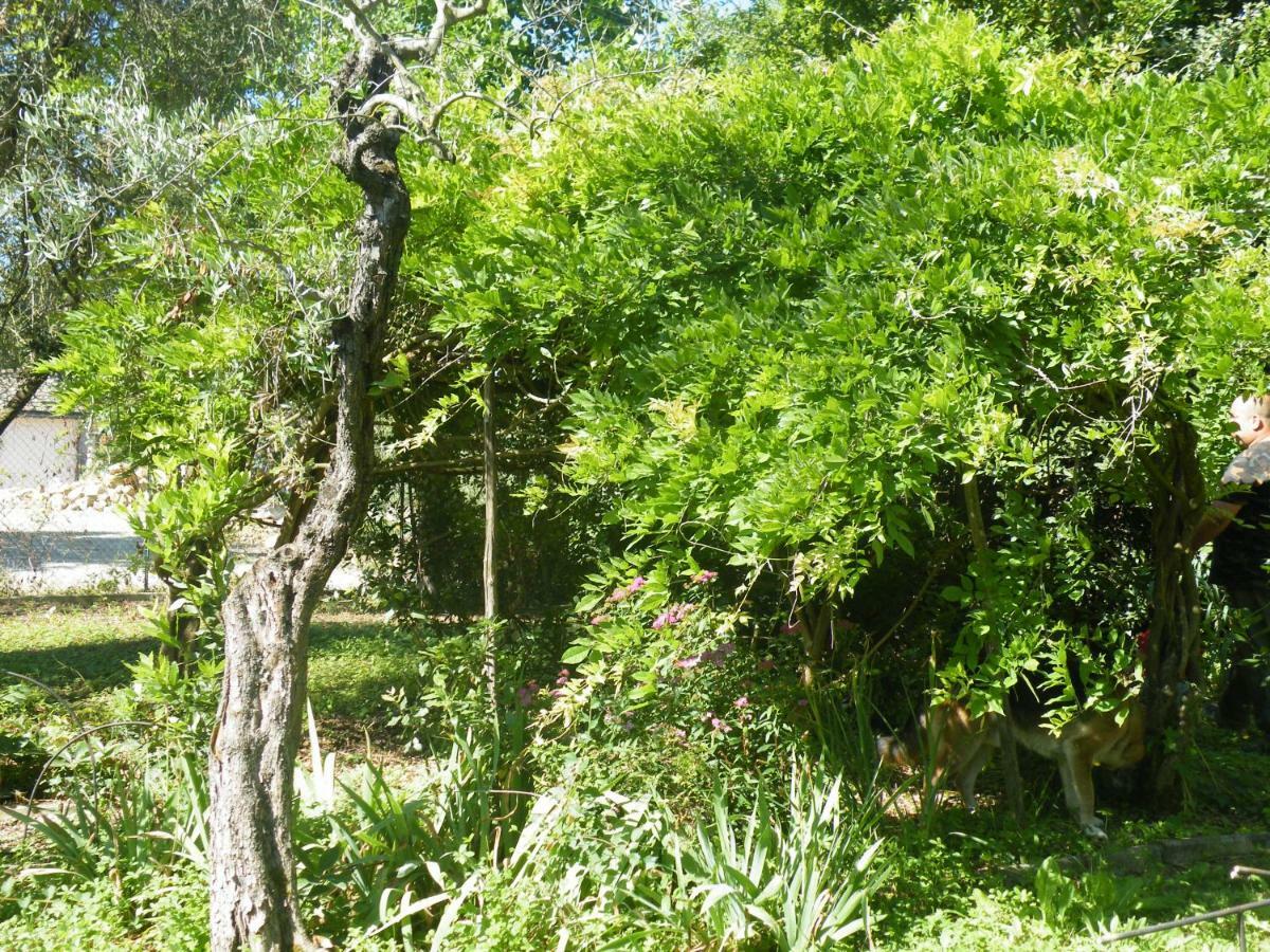 Agriturismo Le Tre Pietre - Podere Nel Chianti Quercegrossa Luaran gambar